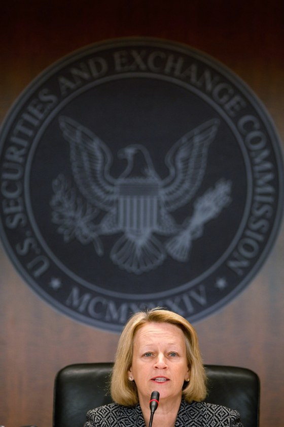 Image: U.S. Securities and Exchange Commission Chairman Mary L. Schapiro