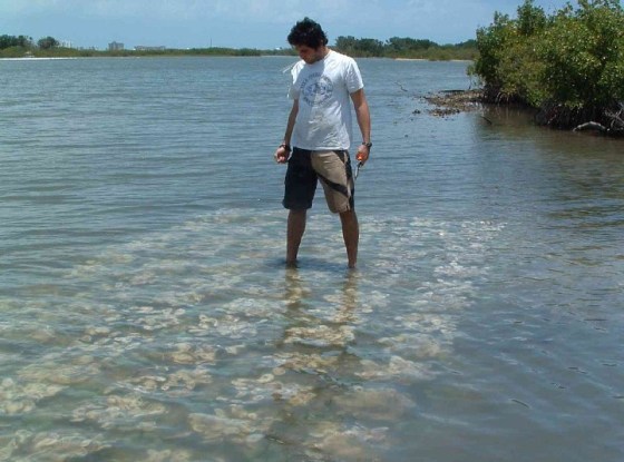 This "oyster mat" was one of hundreds planted at Indian River Lagoon in Florida as part of a recent restoration effort.