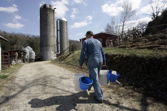 Image: Dairy farmer Darrell Kraus