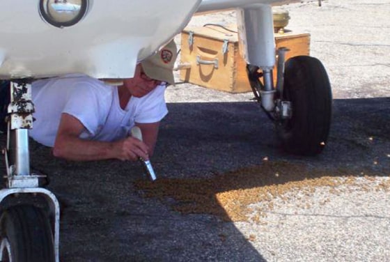 Beekeeper Alan Wilkins used a specially designed vacuum to suck the bees off the plane.