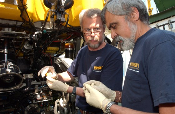 Image: Examining coins recovered from shipwreck