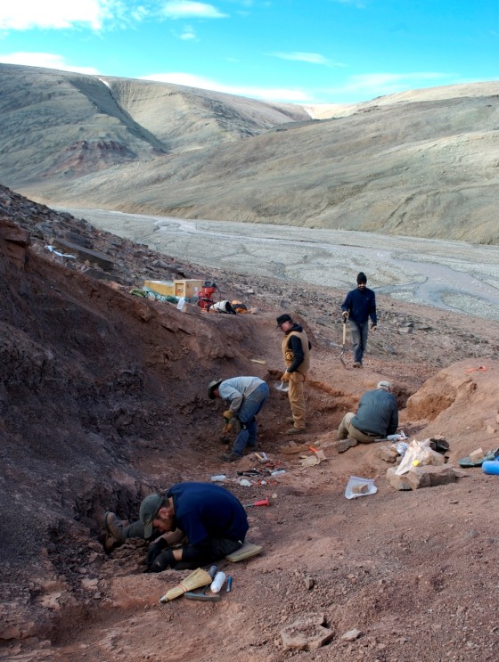 Image: Ellesmere Island