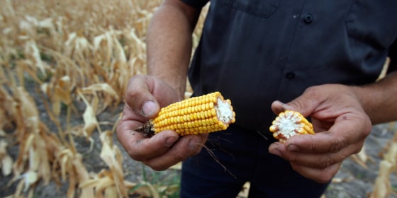 Image: Texas drought