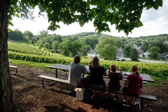 Image: a family overlooking Stone Hill Winery near Katy Trail