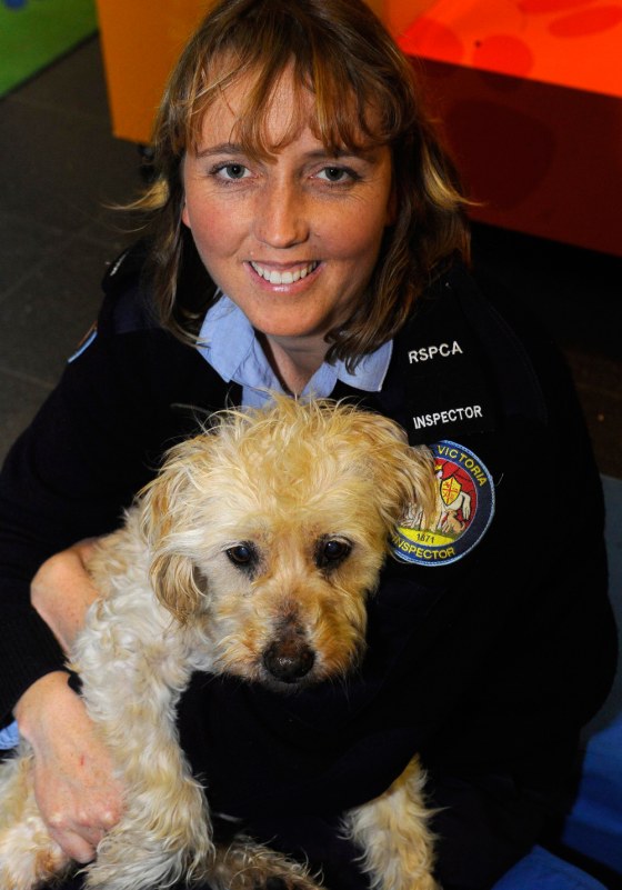 Image: Dog, lost for nine years, re-united with owner