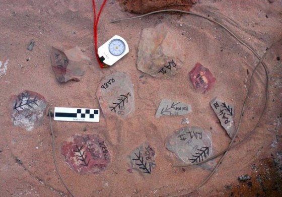 Study: Fire used to make tools 75,000 years ago