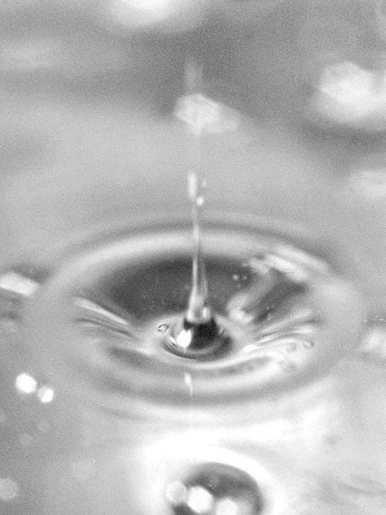 Image: When a bubble reaches the surface of the champagne, it collapses and ejects a tiny champagne jet (shown) that will break tino tiny droplets concentrated with aromatic molecules.