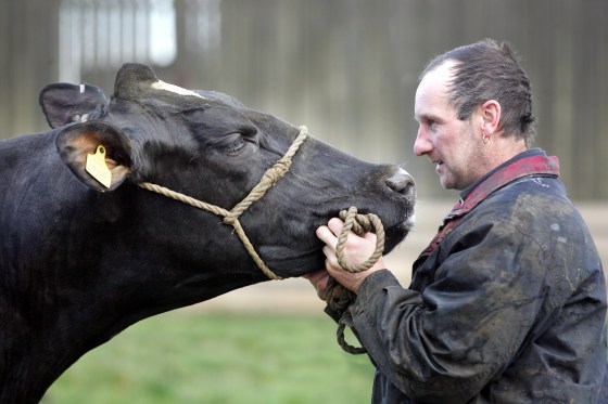 Image: Paul Nelson and Eachwick