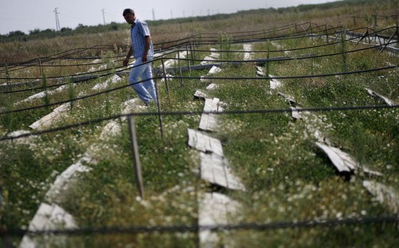 Image: Snail farmer Krasimir Kostov