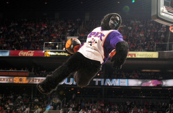 Image: Phoenix Suns, \"The Gorilla\"