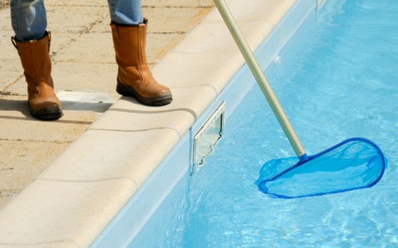 Image: Swimming pool