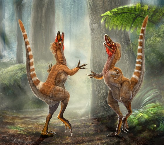 Image: Sinosauropteryx