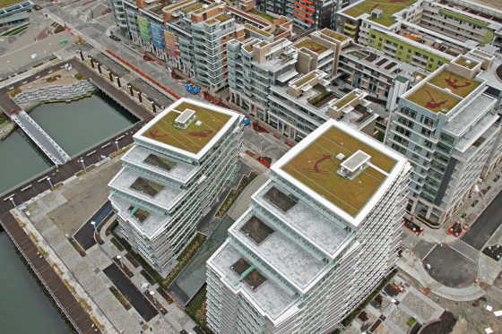 About 50 percent of the residential buildings in the Southeast False Creek project, which will house athletes during the Games, have roofs covered in grass, which absorb rainwater, provide insulation and attract wildlife.
