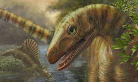 Asilisaurus Dog-sized creature was almost a dinosaur