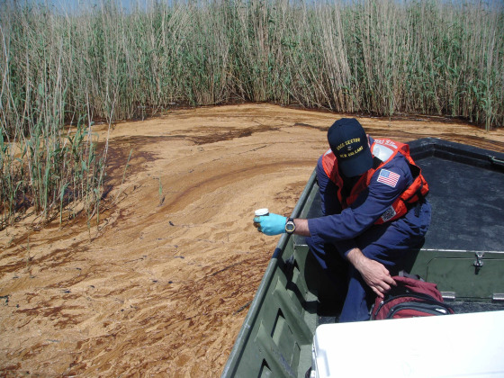 Image: James Peterson