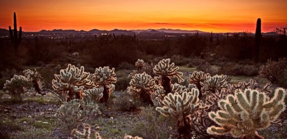 Image: McDowell Sonoran Preserve