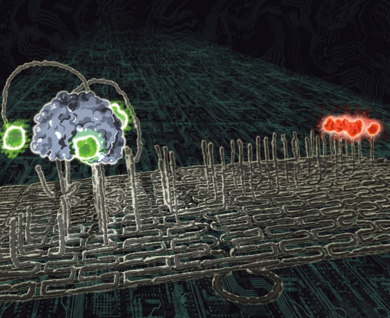 Image: DNA walker