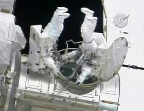 Image: Reisman and Bowen