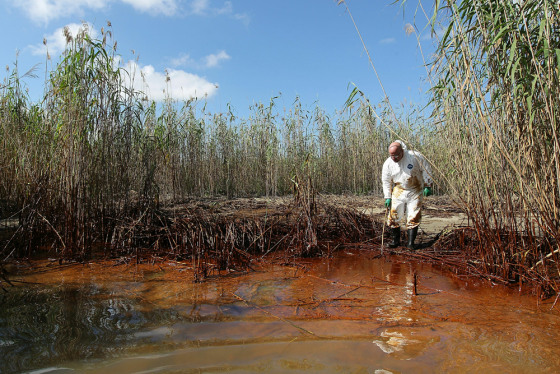 Image: Gulf Coast Struggles With Oil Spill And Its Economic Costs
