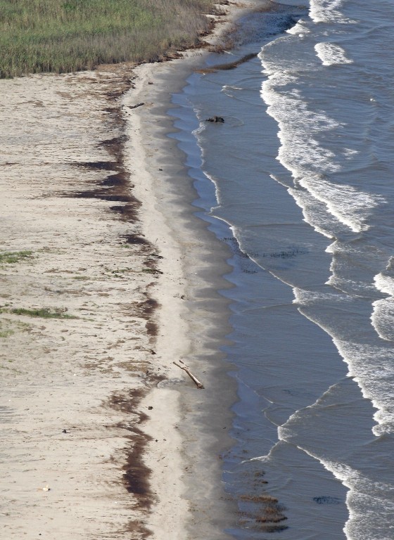 Image: Oil is seen on an island near the South Pass of the Mississippi River