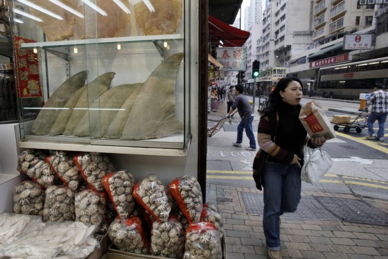 Image: Shark fins displayed in a glass case at a dried seafood shop in Hong Kong