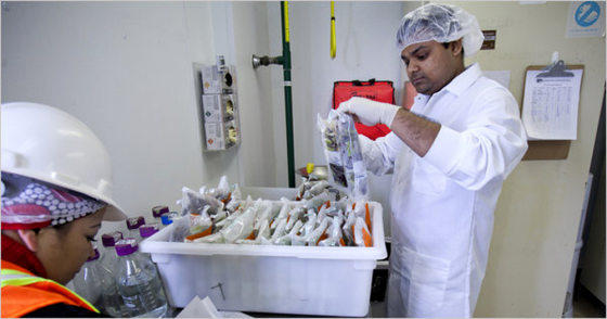 Image: An onsite lab at the Earthbound Farms facility