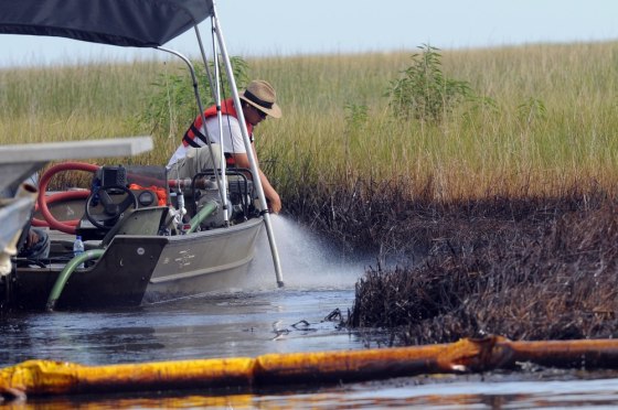 Image: A workers washes the oiled grass in Barataria Bay
