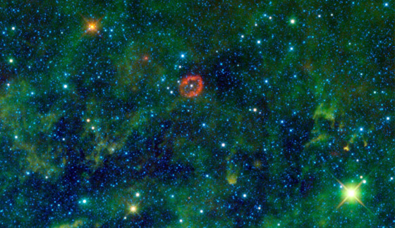 Image: What looks like a jellyfish floating in a sea of kelp is actually a cloud of material shed by a massive star, in this new image from WISE.