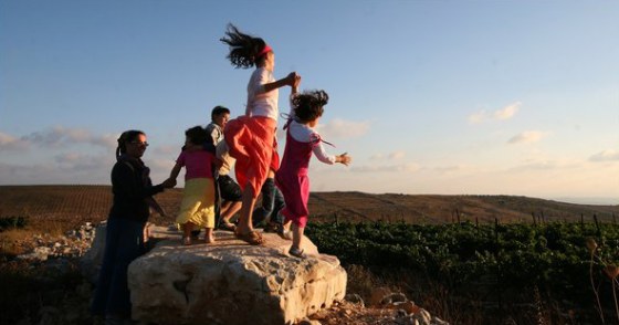 Image: Vineyard in the West Bank