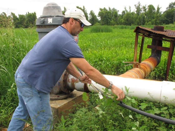 Image: Farmer flooding for birds
