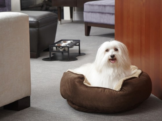 Image: www.strongholdphoto.com