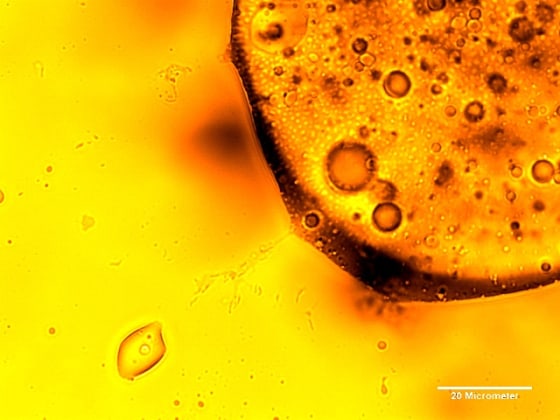 Image: Oil broken up by microbes