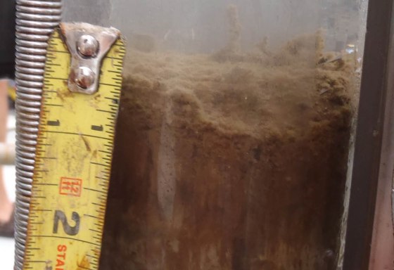 Image: Oily substance on top of sediment