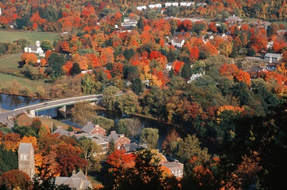 Image: Yankee foliage