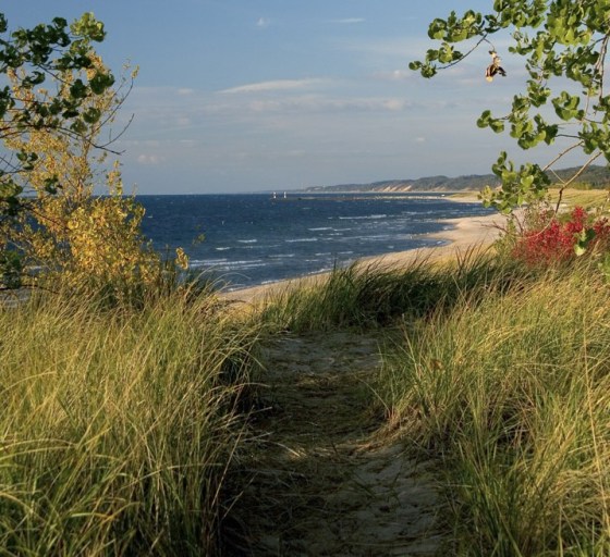 Image: Saugatuck Dunes
