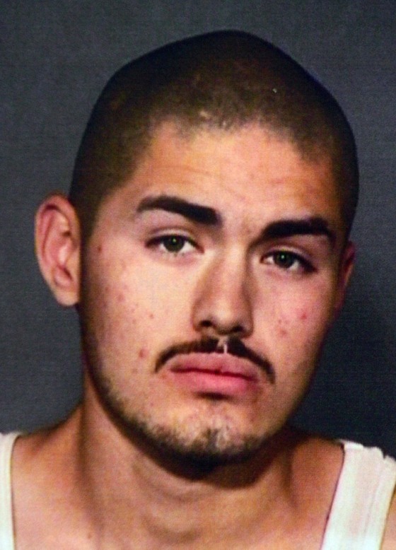 Image: Gregorio Gonzalez