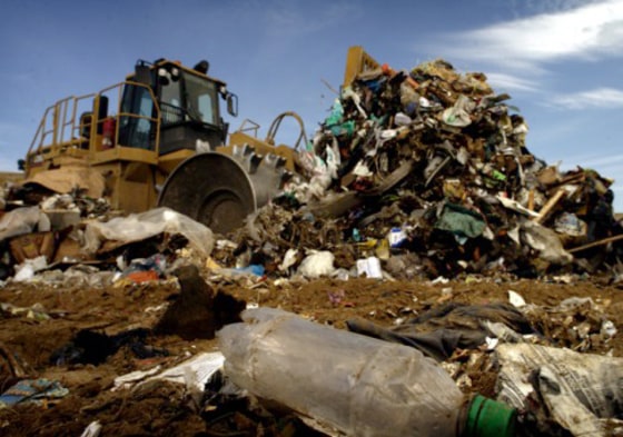 Rats apparently don't have a chance to survive in a pile of trash. One informal study showed three of four rats set loose in a landfill were buried under the pile within an hour.