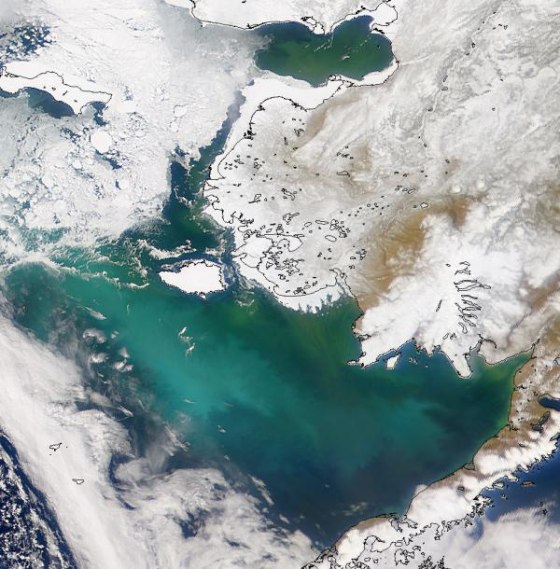 Image: A coccolithophore bloom in the Gulf of Maine