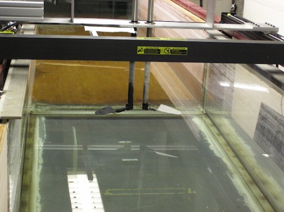 Image: Robotic hummingbird wings