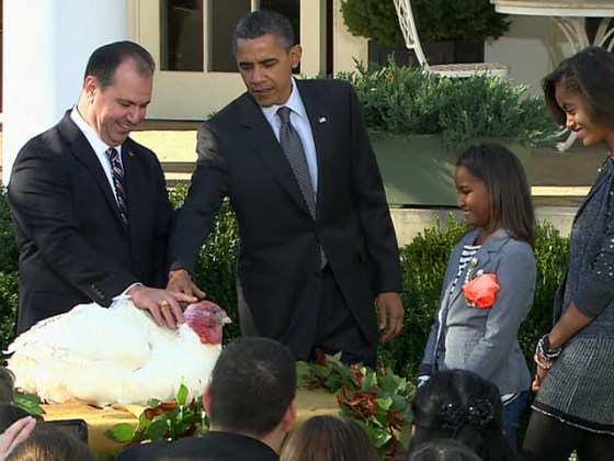 Image: Obama pardons a turkey