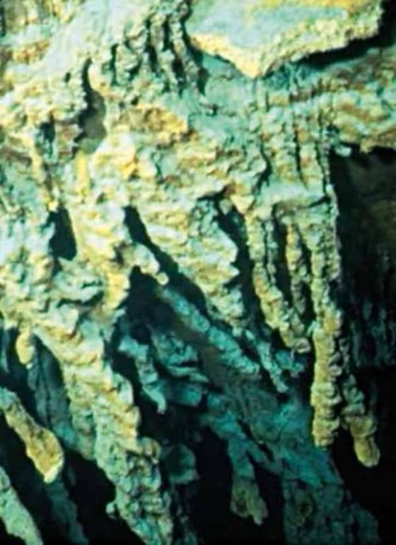 New species of rust-eating bacteria destroying Titanic