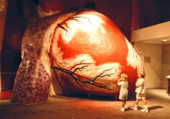 Image: Franklin Institute