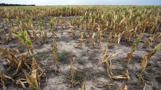 Image: To match Analysis COMMODITIES/LA-NINA