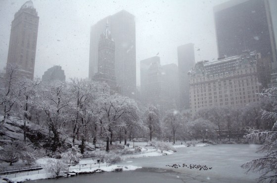 Image: New York City