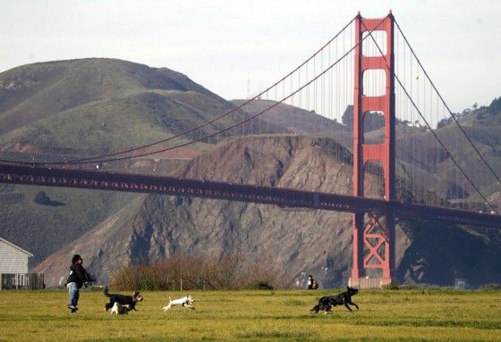 Image: Crissy Field in San Francisco