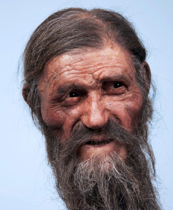 The newest reconstruction of Otzi the Iceman shows a prematurely old man with deep-set eyes, sunken cheeks, a furrowed face and ungroomed beard and hair.