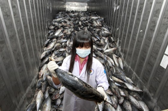 Image: An official takes a sample from a shipment of frozen fish imported from Japan to test for for possible radiation contamination at Ladkrabang customs in Bangkok