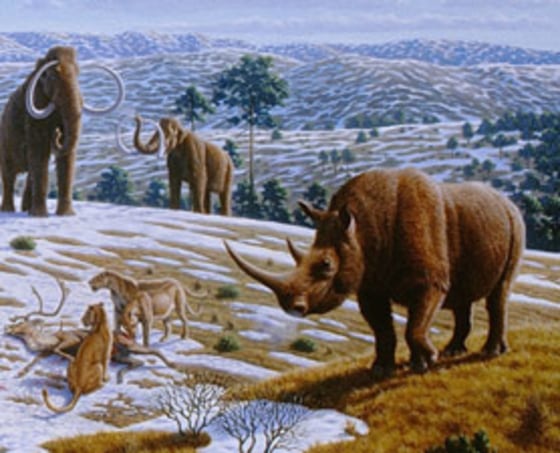 A fossil collected by ancient Greeks is possibly the thigh bone of a woolly rhinoceros, illustrated here. The immense mammal may have roamed southern Greece perhaps a million years ago.