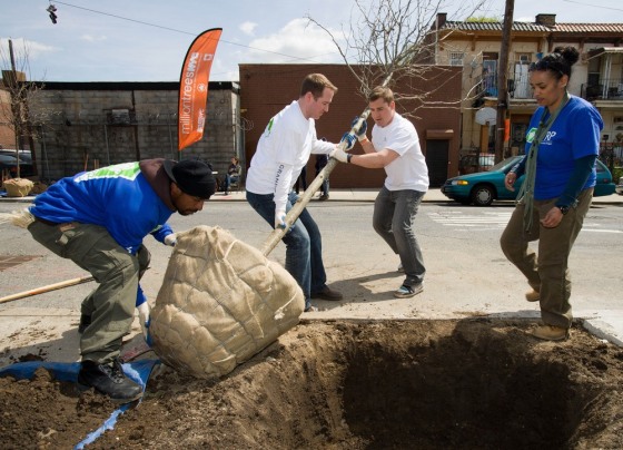 Image: Tree planting in Brooklyn