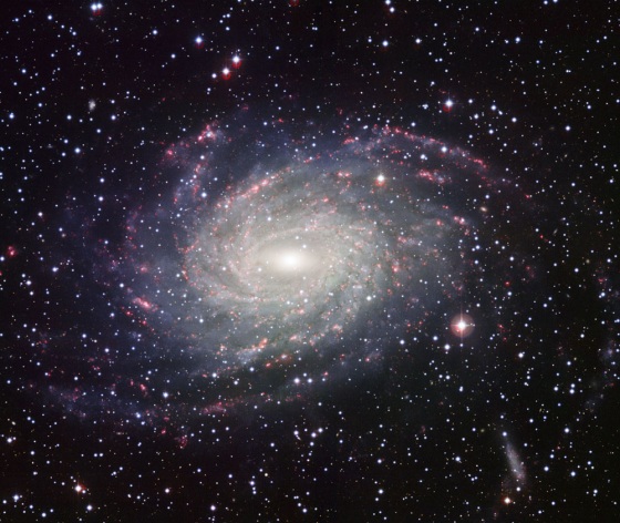 Distant galaxy is a twin of our own Milky Way